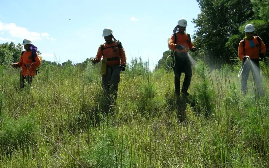 dos pistolos shipstation spraying