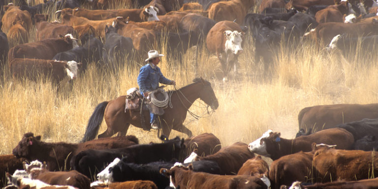 ShipStation Ecommerce Roundup