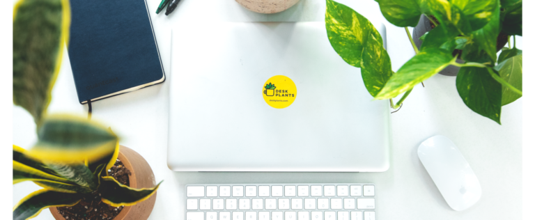 laptop, keyboard, computer mouse, notebook and two small plants sitting on a desk